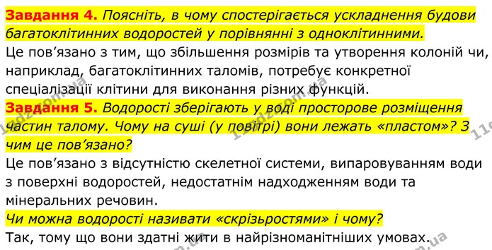 4. Поясніть, в чому спостерігається ускладнення будови багатоклітинних водоростей у порівнянні з одноклітинними. — ГДЗ Робочий зошит Біологія 7 клас Мирна 2024