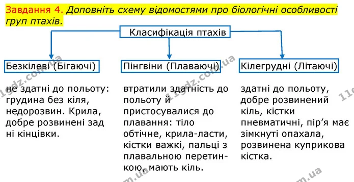 Стор. 51 — 4 — ГДЗ Робочий зошит з Біології 7 клас Яременко — ГДЗ Робочий зошит з Біології 7 клас Яременко