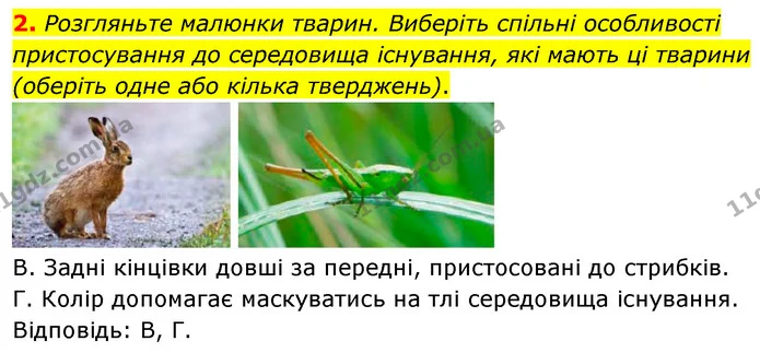 Стор. 264 — Стр.264 (3.2) — ГДЗ Біологія 7 клас Балан — ГДЗ Біологія 7 клас Балан