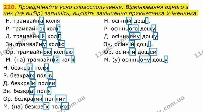 220. Провідміняйте усно словосполучення. Відмінювання одного з них (на вибір) запишіть, виділіть закінчення прикметника й іменника. — ГДЗ Українська мова 6 клас Заболотний 2019