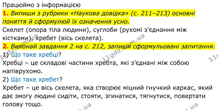 2. Що нового про скелет людини ти дізнався / дізналася? Дай відповідь усно. — ГДЗ робочий зошит Пізнаємо природу 5 клас Коршевнюк
