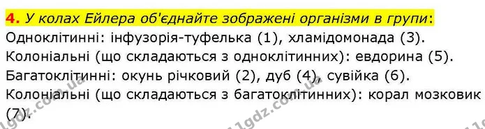4. У колах Ейлера об'єднайте зображені організми в групи: — ГДЗ робочий зошит Біологія 7 клас Кулініч