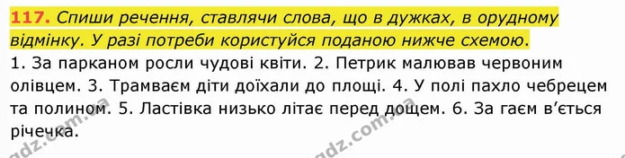 117. Спиши речення, ставлячи слова, що в дужках, в орудному відмінку. У разі потреби користуйся поданою нижче схемою. — ГДЗ Українська мова та читання 4 клас Коваленко