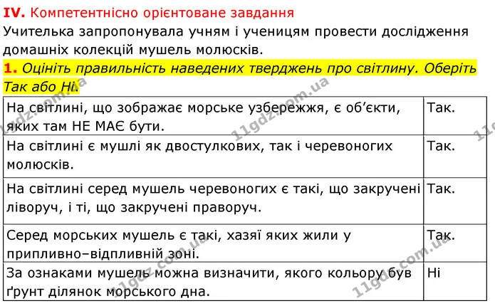 Стор. 206 — Стр.206 (4.1) — ГДЗ Біологія 7 клас Балан — ГДЗ Біологія 7 клас Балан