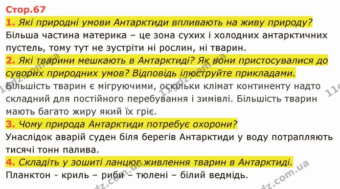 У чому різноманітність рослинного та тваринного світу Південної Америки? — ГДЗ Я досліджую світ 4 клас Гільберг 1-2 ч.