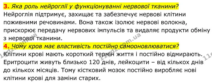 3. Яка роль нейроглії у функціонуванні нервової тканини? — ГДЗ Біологія 8 клас Балан