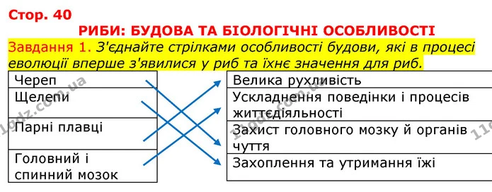 Стор. 40 — 1 — ГДЗ Робочий зошит з Біології 7 клас Яременко — ГДЗ Робочий зошит з Біології 7 клас Яременко