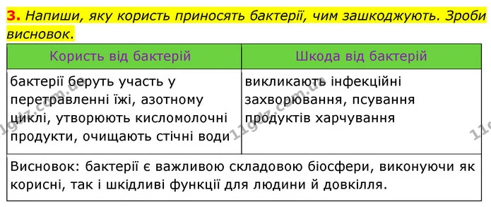 3. Напиши, яку користь приносять бактерії, чим зашкоджують. Зроби висновок. — ГДЗ робочий зошит Біологія 7 клас Тагліна