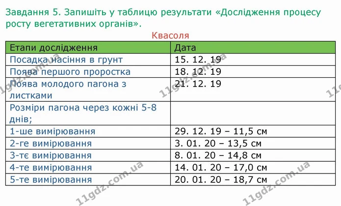 Стор. 29 — 5 — ГДЗ Робочий зошит Біологія 6 клас Мечник — ГДЗ Робочий зошит Біологія 6 клас Мечник
