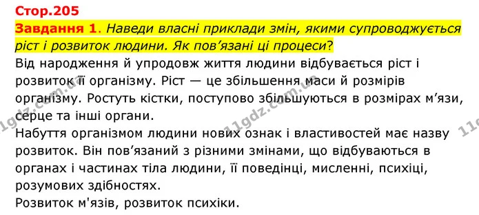 Стор. 205 — 1 — ГДЗ Пізнаємо природу 6 клас Коршевнюк — ГДЗ Пізнаємо природу 6 клас Коршевнюк