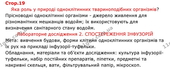 Стор. 19 — 1 — ГДЗ Робочий зошит Біологія 6 клас Соболь — ГДЗ Робочий зошит Біологія 6 клас Соболь
