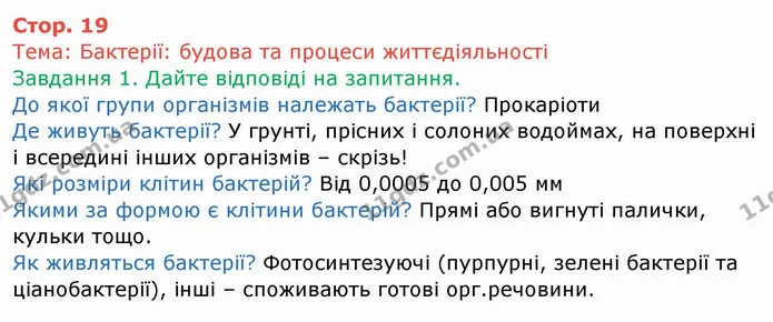 Стор. 19 — 1 — ГДЗ Робочий зошит Біологія 6 клас Мечник — ГДЗ Робочий зошит Біологія 6 клас Мечник