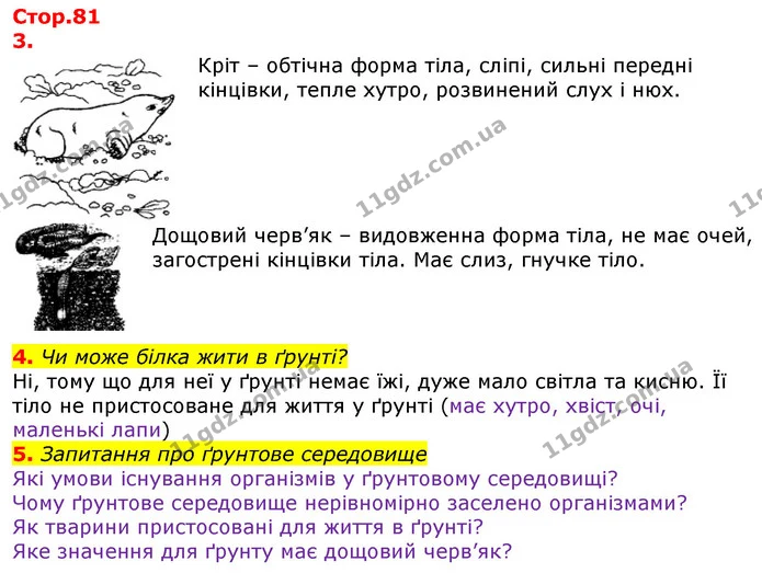 4. Чи може білка жити в ґрунті? — ГДЗ Робочий зошит Природознавство 5 клас Коршевнюк