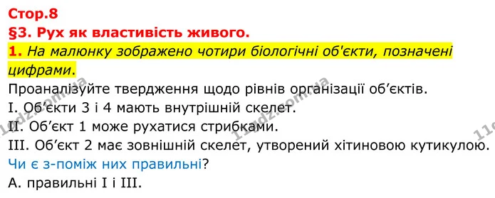 1. На малюнку зображено чотири біологічні об'єкти, позначені цифрами. — ГДЗ Робочий зошит Біологія 8 клас Тагліна (2025)