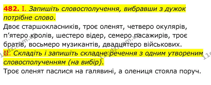 482. І. Запишіть словосполучення, вибравши з дужок потрібне слово. — ГДЗ Українська мова 6 клас Заболотний 2020