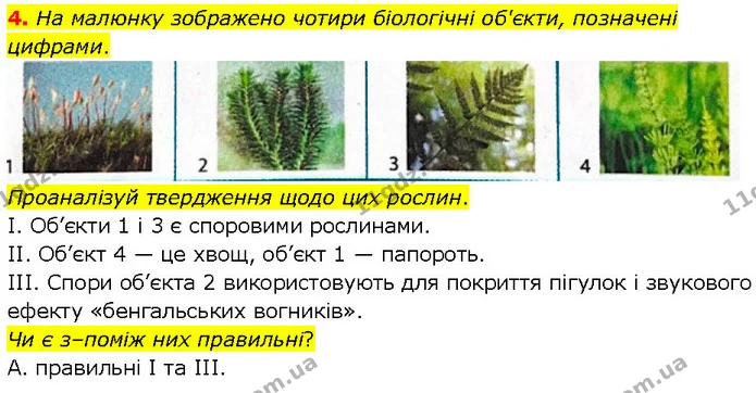 4. На малюнку зображено чотири біологічні об'єкти, позначені цифрами. — ГДЗ робочий зошит Біологія 7 клас Тагліна