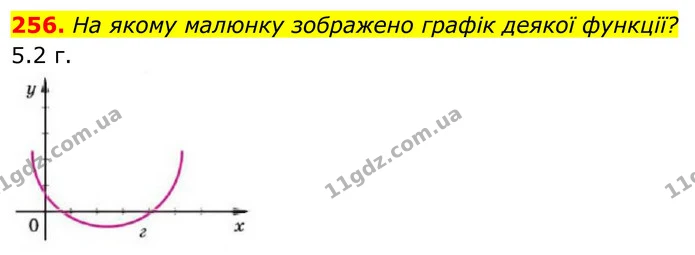 256. На якому малюнку зображено графік деякої функції? — ГДЗ Алгебра 8 клас Бевз