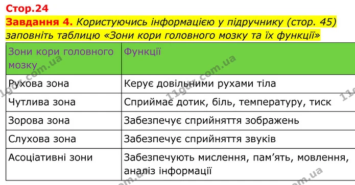 Стор. 24 — 4 — ГДЗ Робочий зошит біологія 8 клас Мирна — ГДЗ Робочий зошит біологія 8 клас Мирна
