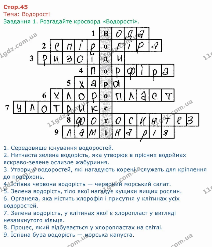 Стор. 45 — 1 — ГДЗ Робочий зошит Біологія 6 клас Мечник — ГДЗ Робочий зошит Біологія 6 клас Мечник