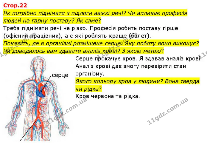Як потрібно піднімати з підлоги важкі речі? Чи впливає професія людей на гарну поставу? Як саме? — ГДЗ Я досліджую світ 3 клас Гільберг 1-2 ч.