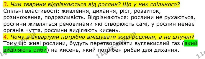 3. Чим тварини відрізняються від рослин? Що у них спільного? — ГДЗ Природознавство 5 клас Ярошенко