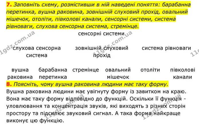 7. Заповніть схему, розмістивши в ній наведені поняття: барабанна перетинка, вушна раковина, зовнішній слуховий прохід, овальний — ГДЗ Робочий зошит Біологія 8 клас Задорожний