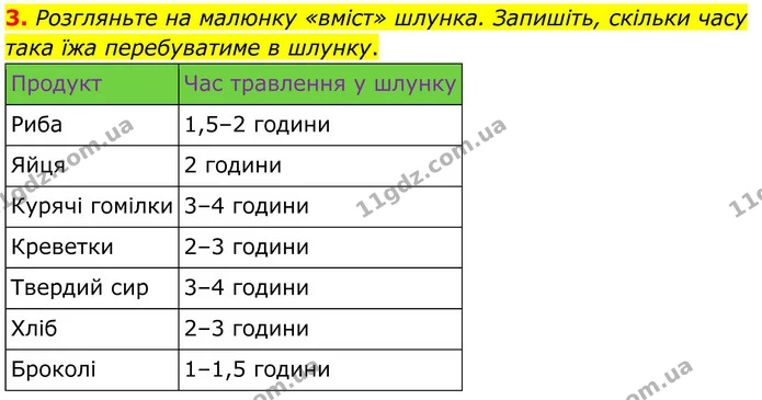 3. Розгляньте на малюнку «вміст» шлунка. Запишіть, скільки часу така їжа перебуватиме в шлунку. — ГДЗ Робочий зошит Біологія 8 клас Кулініч