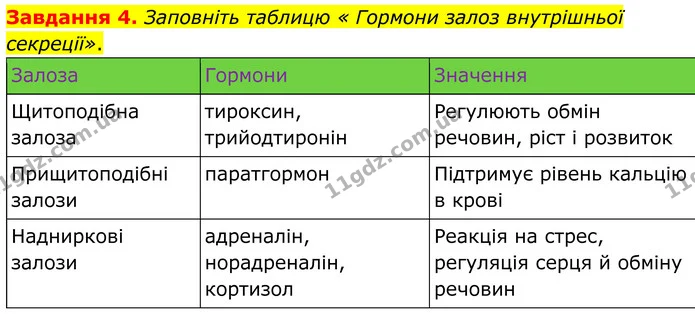Стор. 33 — 4 — ГДЗ Робочий зошит біологія 8 клас Мирна — ГДЗ Робочий зошит біологія 8 клас Мирна
