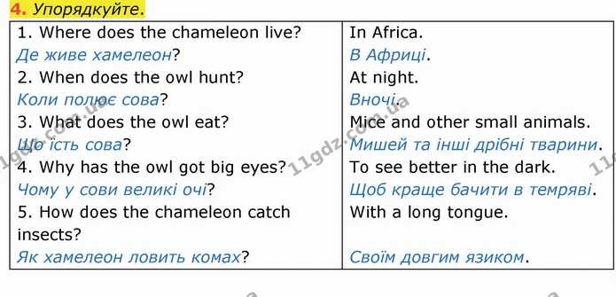 4. Упорядкуйте. — ГДЗ Англійська мова 4 клас Карпюк НУШ