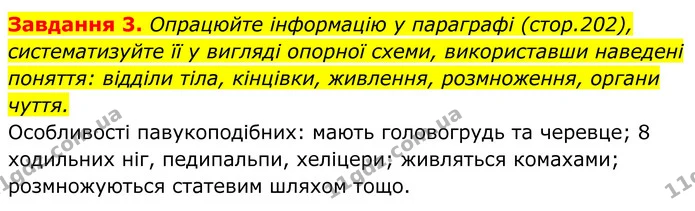 3. Опрацюйте інформацію у параграфі (стор.202), систематизуйте її у вигляді опорної схеми, використавши наведені поняття: відділи тіла — ГДЗ Робочий зошит Біологія 7 клас Мирна 2024