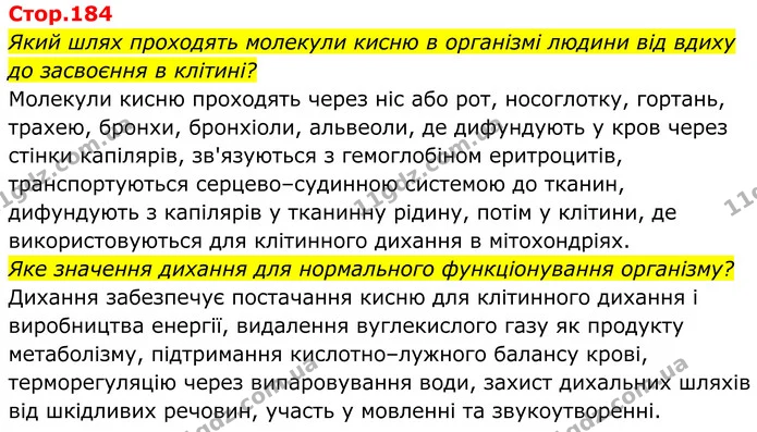 Який шлях проходять молекули кисню в організмі людини від вдиху до засвоєння в клітині? — ГДЗ Біологія 8 клас Балан