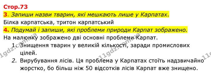 3. Запиши назви тварин, які мешкають лише у Карпатах. — ГДЗ Робочий зошит Я досліджую світ 4 клас Гільберг