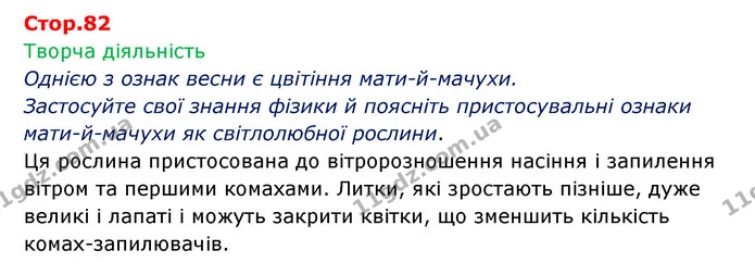 Стор. 82 — 1 — ГДЗ Робочий зошит Біологія 6 клас Соболь — ГДЗ Робочий зошит Біологія 6 клас Соболь