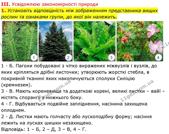 Стор. 131 — Стр.131 (3.1) — ГДЗ Біологія 7 клас Балан — ГДЗ Біологія 7 клас Балан