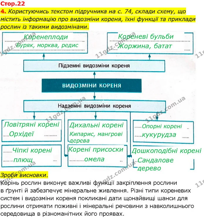 4. Користуючись текстом підручника на с. 74, склади схему, що містить інформацію про видозміни кореня, їхні функції та приклади рослин — ГДЗ робочий зошит Біологія 7 клас Тагліна