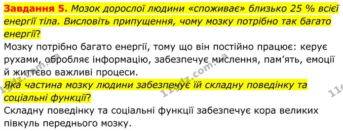 Стор. 24 — 5 — ГДЗ Робочий зошит біологія 8 клас Мирна — ГДЗ Робочий зошит біологія 8 клас Мирна