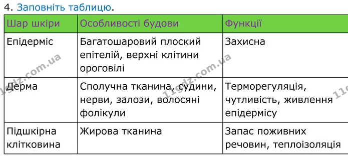 Стор. 69 — Стр.69 (3.4) — ГДЗ Робочий зошит Біологія 8 клас Кулініч — ГДЗ Робочий зошит Біологія 8 клас Кулініч