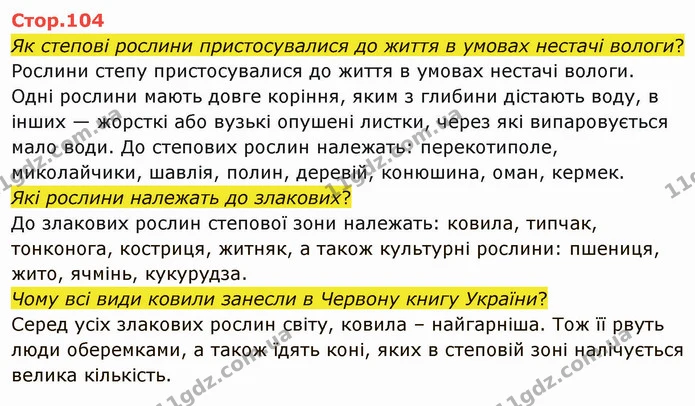 Стор. 104 — 1 — ГДЗ Я досліджую світ 4 клас Грущинська 1-2 ч. — ГДЗ Я досліджую світ 4 клас Грущинська 1-2 ч.