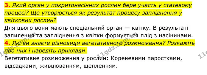 3. Який орган у покритонасінних рослин бере участь у статевому процесі? Що утворюється як результат процесу запліднення у квіткових — ГДЗ Пізнаємо природу 6 клас Мідак