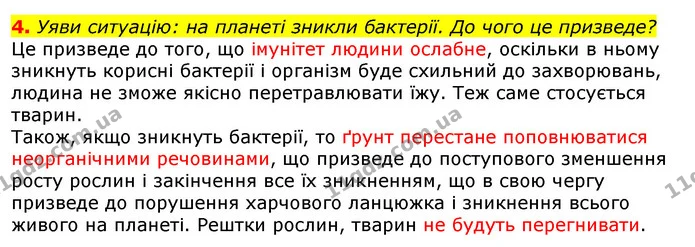 4. Уяви ситуацію: на планеті зникли бактерії. До чого це призведе? — ГДЗ Природознавство 5 клас Коршевнюк
