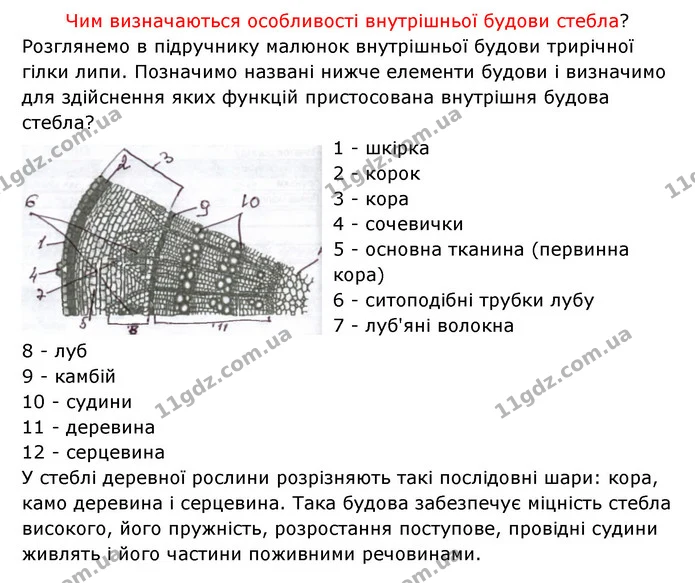 Стор. 38 — 2 — ГДЗ Робочий зошит Біологія 6 клас Соболь — ГДЗ Робочий зошит Біологія 6 клас Соболь