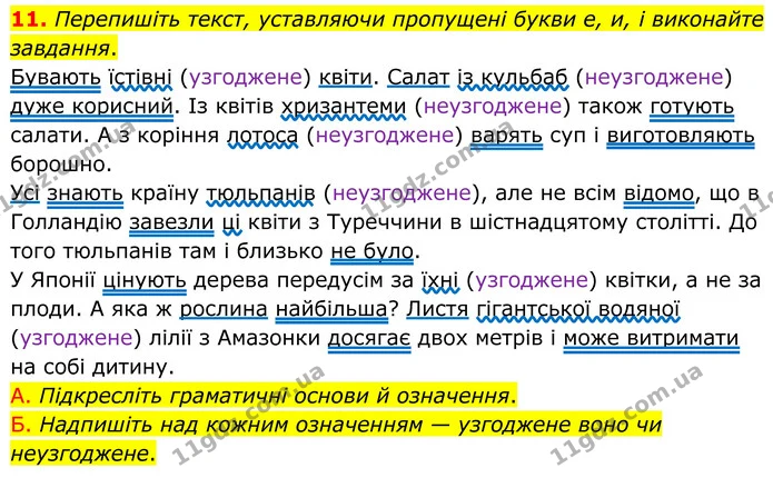 11. Перепишіть текст, уставляючи пропущені букви е, и, і виконайте завдання. — ГДЗ Українська мова 8 клас Авраменко