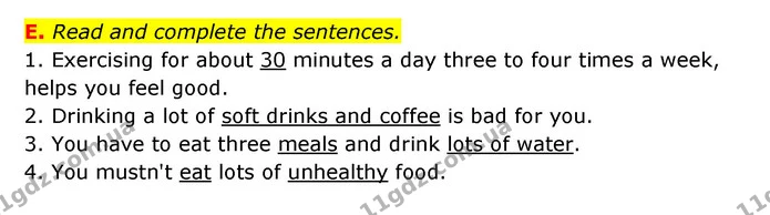 E. Read and complete the sentences. — ГДЗ Робочий зошит Англійська мова 6 клас Мітчелл