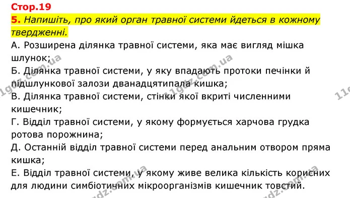 5. Напишіть, про який орган травної системи йдеться в кожному твердженні. — ГДЗ Робочий зошит Біологія 8 клас Задорожний