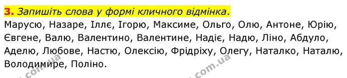 3. Запишіть слова у формі кличного відмінка. — ГДЗ Українська мова 8 клас Авраменко (поглиблений)