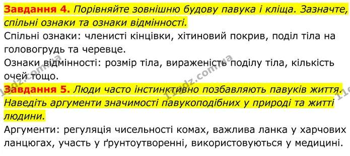4. Порівняйте зовнішню будову павука і кліща. Зазначте, спільні ознаки та ознаки відмінності. — ГДЗ Робочий зошит Біологія 7 клас Мирна 2024