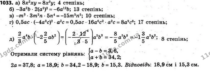 1033. Подайте одночлен у стандартному вигляді та вкажіть його степінь: — ГДЗ Алгебра 7 клас Кравчук 2015