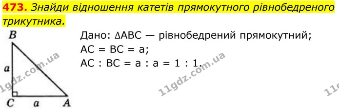 473. Знайди відношення катетів прямокутного рівнобедреного трикутника. — ГДЗ Геометрія 8 клас Бевз