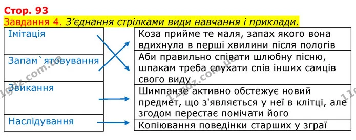 Стор. 93 — 4 — ГДЗ Робочий зошит з Біології 7 клас Яременко — ГДЗ Робочий зошит з Біології 7 клас Яременко