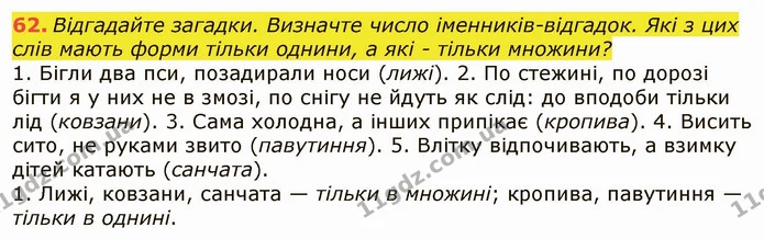 62. Відгадайте загадки. Визначте число іменників-відгадок. Які з цих слів мають форми тільки однини, а які - тільки множини? — ГДЗ Українська мова 6 клас Заболотний 2019